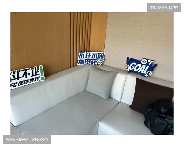 贵宾包厢格调升级融合中网蓝元素全面提升观赛体验